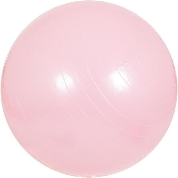 Image du produit Gorilla Sports Balle de gymnastique 355 (65 cm)