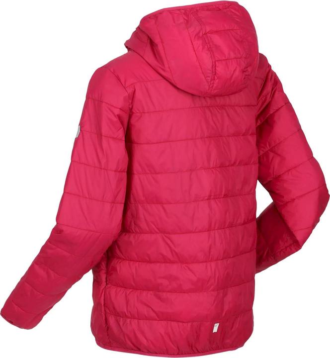 Produktbild Regatta Hillpack Jacke mit Kapuze (158)