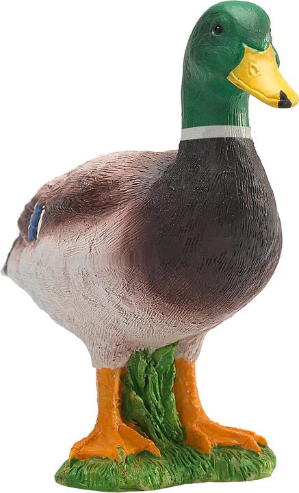 Image du produit Animal Planet Canard colvert Erpel