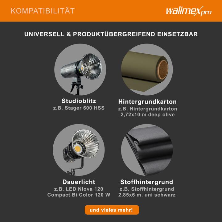 Actual product image Walimex 3-fold background system + bag (290 cm, 250 cm)