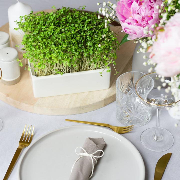 Actual product image Heimgart Microgreens Starter-Kit (Seedlings)