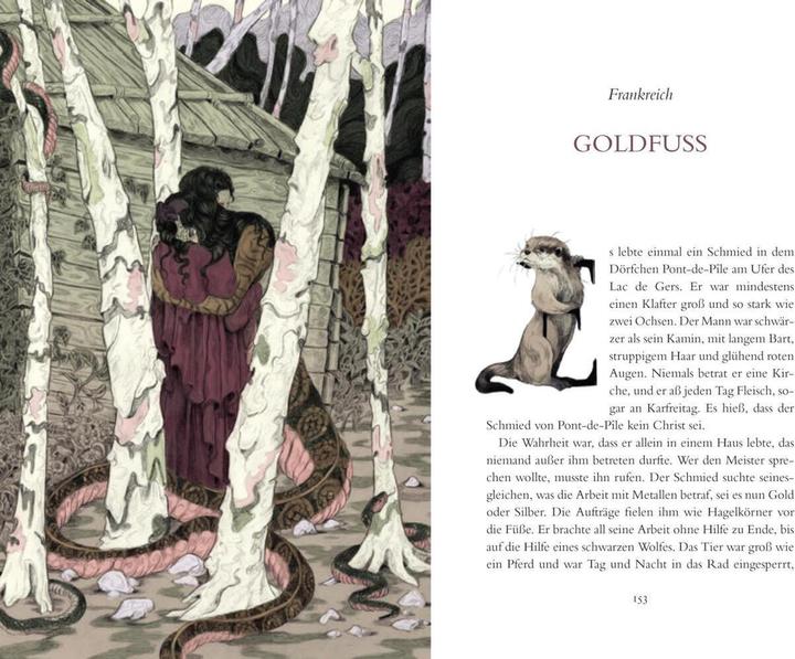 Productafbeelding Die Froschprinzessin. Märchen aus aller Welt (Duits, Tobias Schnettler, Julia Plath, Cornelia Funke, 2024)