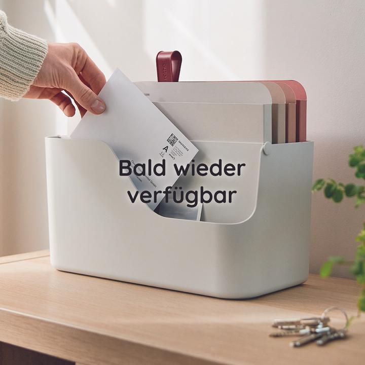 Actual product image Rotho Letter tray (A4)