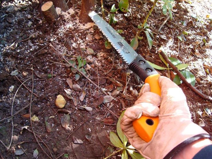 Image du produit Fiskars Scie de jardin à main SoftGrip 330 m