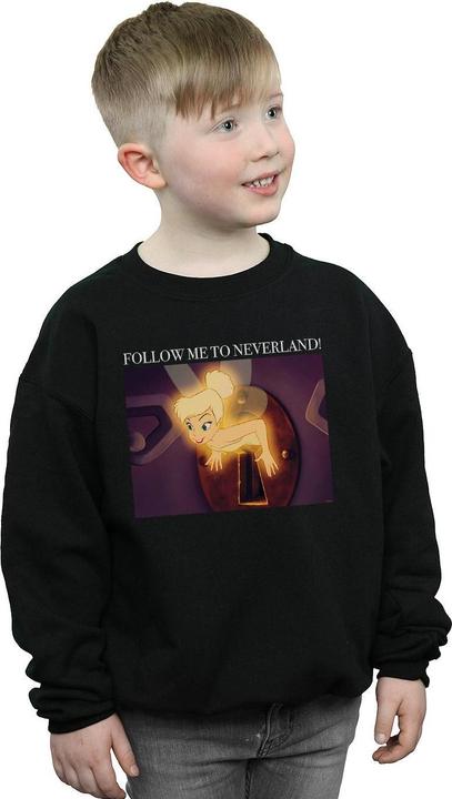 Actual product image Disney Boys Tinker Bell Follow Me Sweatshirt (152, 158)
