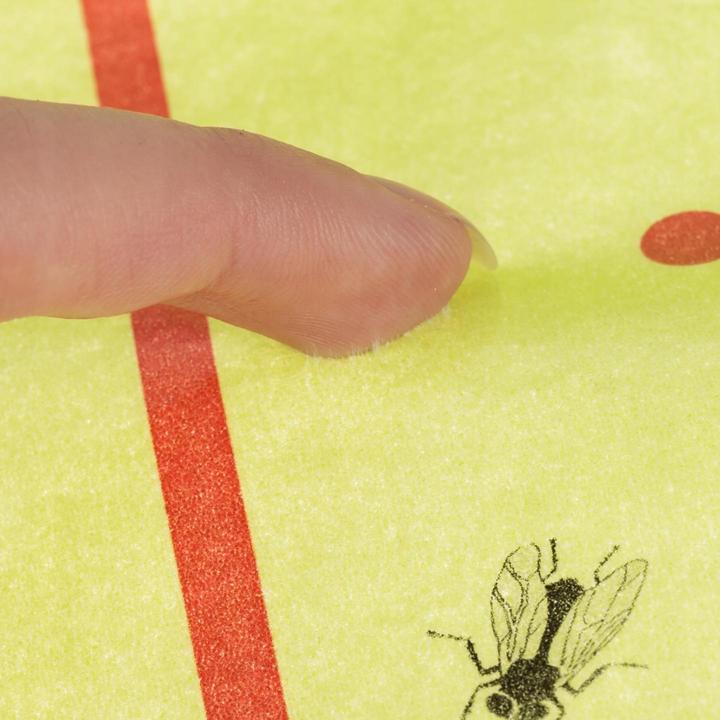 Actual product image Repest Flypaper / sticker - 10 m roll
