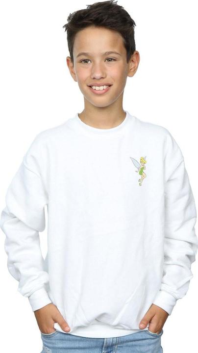 Image du produit Disney - Sweat TINKERBELL CHEST - Garçon (152, 158)