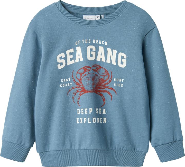 Name it Regular Fit Sweatshirt (116)