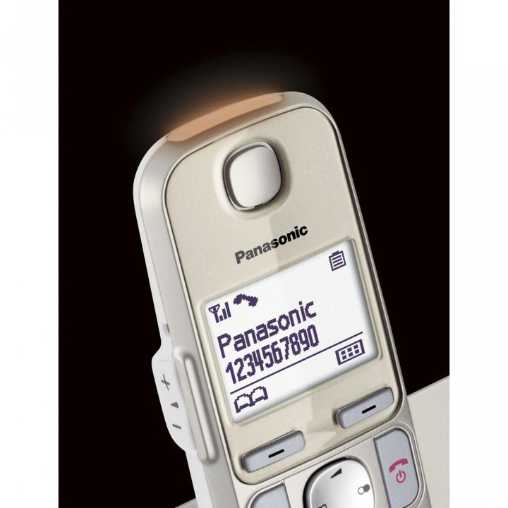 Actual product image Panasonic KX-TGE250GN Single champagne