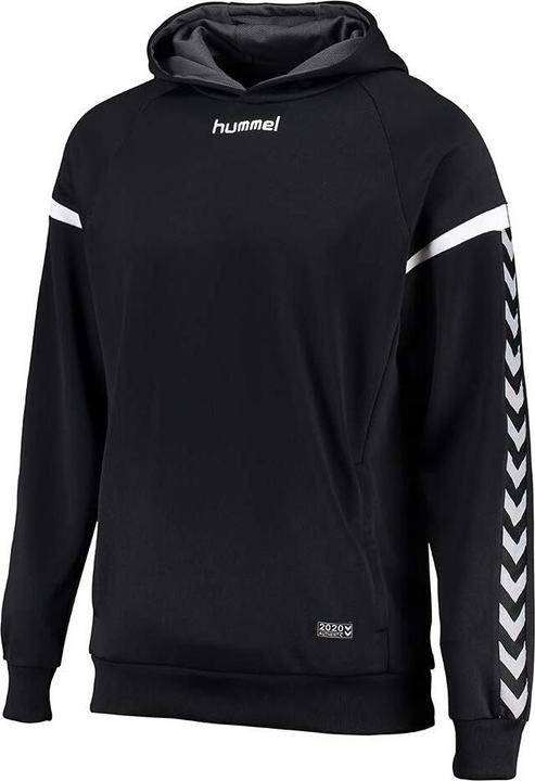 Image du produit hummel Authentique Charge Poly Hoodie (M)