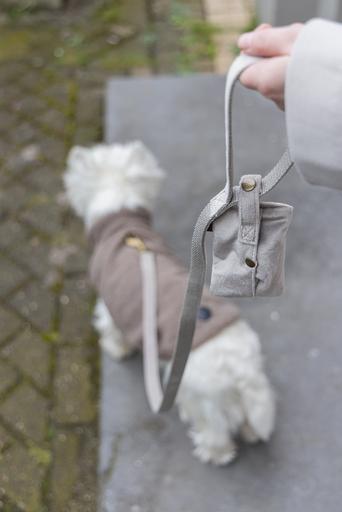 Actual product image Designed by Lotte Excrement bag dispenser Caja with excrement bags (Dog, General)
