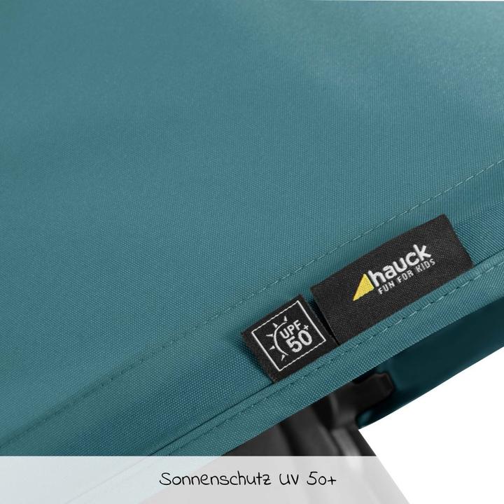 Actual product image Hauck Swift X Single Deluxe Canopy