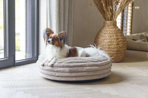 Productafbeelding Designed by Lotte Reza ligkussen (Hond)
