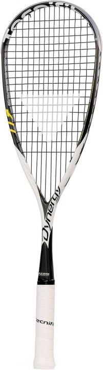 Tecnifibre Dynergy 117