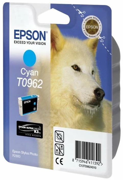 Actual product image Epson T0962 (C)