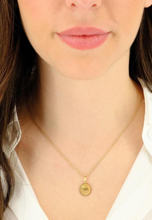 Produktbild Muau Widder (Weissgold, Gelbgold, Rotgold oder Silber)