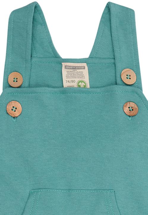 Actual product image loud + proud Dungarees (56)