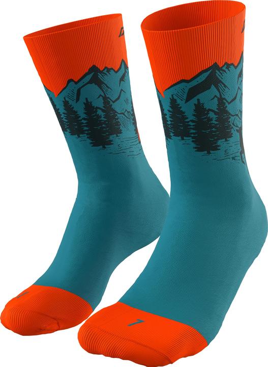 Image du produit Dynafit Chaussettes Stay Fast (35 - 38)