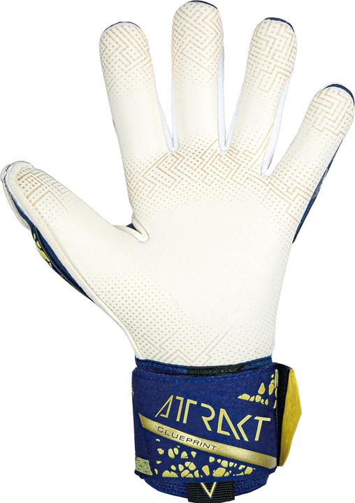 Actual product image Reusch Attract Gold X (8)