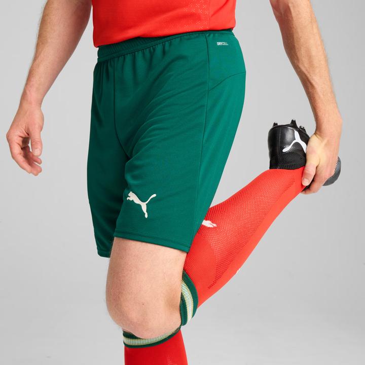 Image du produit Puma FPF Short Replica (S)