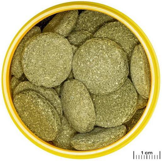 Produktbild JBL Aquaristik und Terraristik ProNovo PLECO WAFER XL 1000ml (Zierfische, 1000 ml)