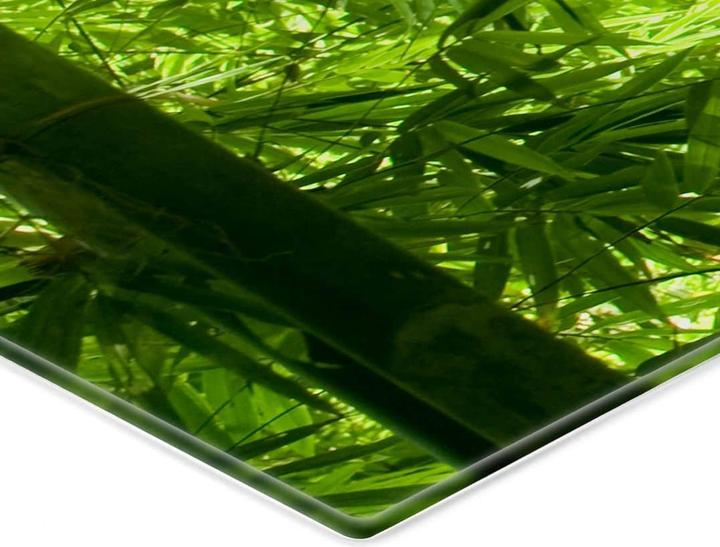 Produktbild Trenddeko Sonnenschein im Bambuswald - Panorama (50 x 120 cm)