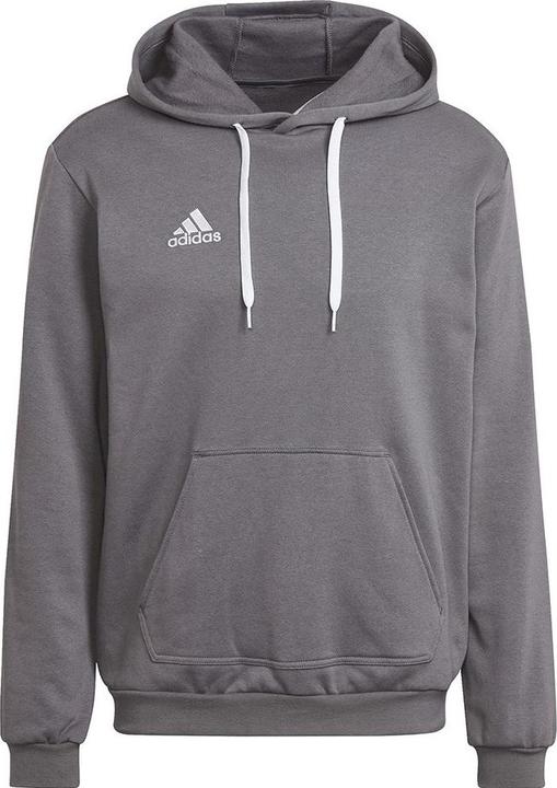 Actual product image adidas Entrada 22 hoodie men (M)