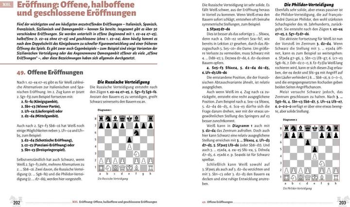 Actual product image Chess for beginners