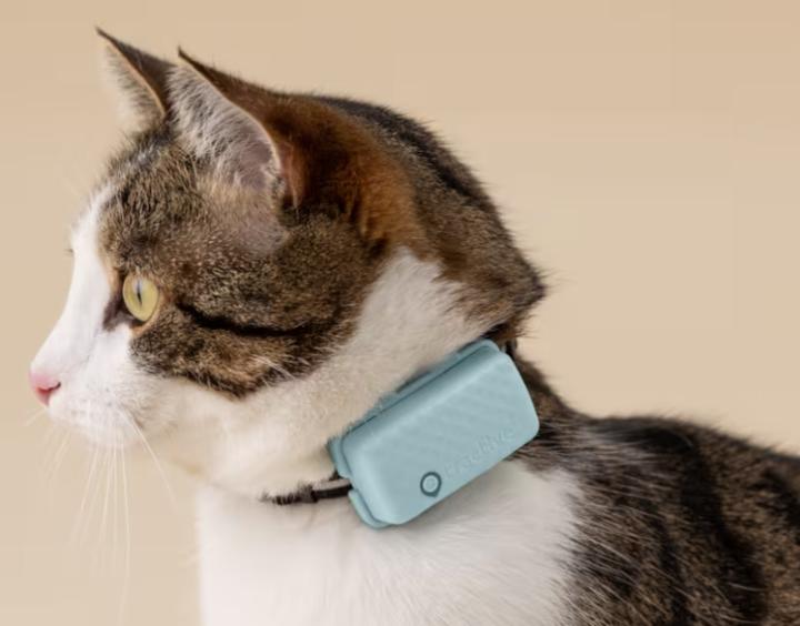 Productafbeelding Tractive GPS CAT Mini - mint (Eén maat voor iedereen, Kat, Algemeen)