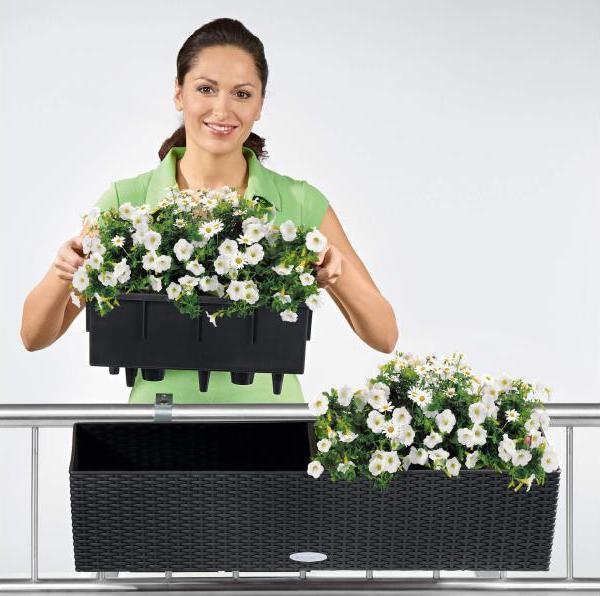 Produktbild Lechuza Balconera Cottage (19 cm)