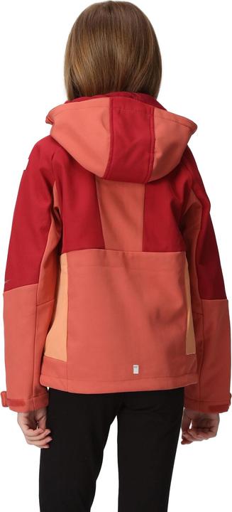 Produktbild Regatta Haydenbury Softshelljacke (116)
