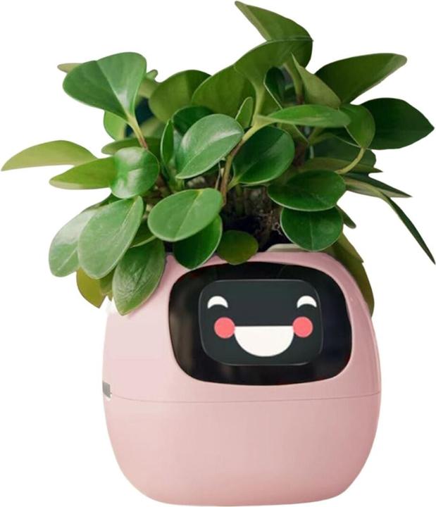 Image du produit Hermex Pot de fleurs intelligent (11 cm)