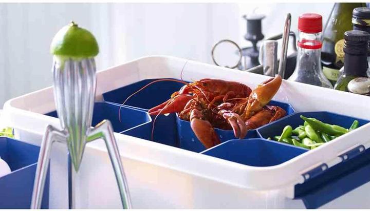 Actual product image Orthex Professional box (59 x 39 x 34 cm, 50 l)