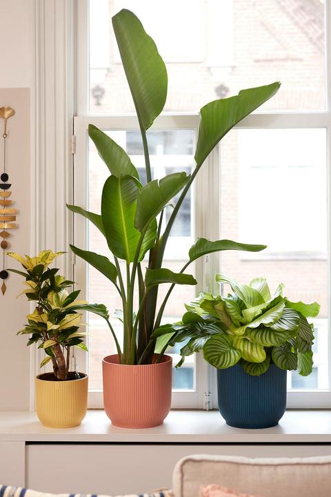 Actual product image Elho Vibes Fold (25 cm)