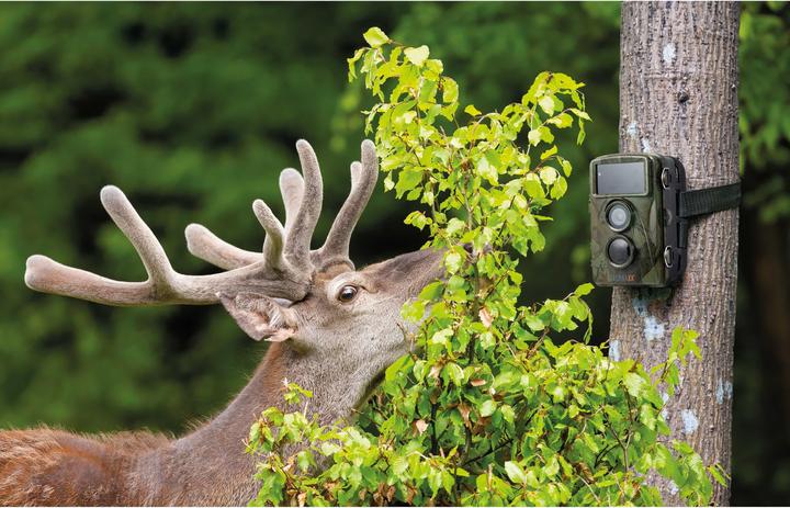 Image du produit Technaxx TX-160 CMOS 25,4 / 3,2 mm (1 / 3.2" ) Vision nocturne camouflage 3840 x 2160 pixels