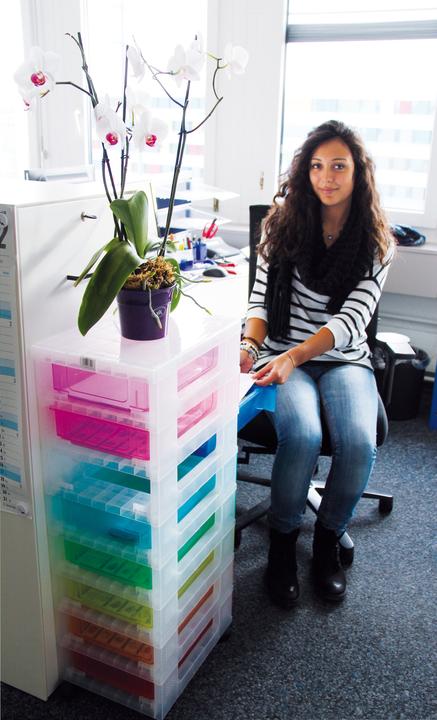 Actual product image Really Useful Box Shelf unit (30 x 42 x 92.5 cm, 7 l)