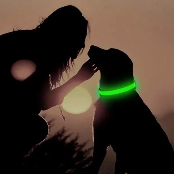 Produktbild Cbx Aufladbares LED-Hundehalsband Grösse L - 46-50cm (L, Hund)