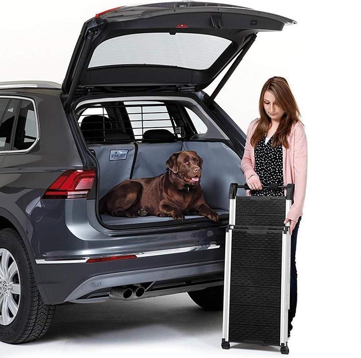 Actual product image Kleinmetall Dog ramp (Dog)