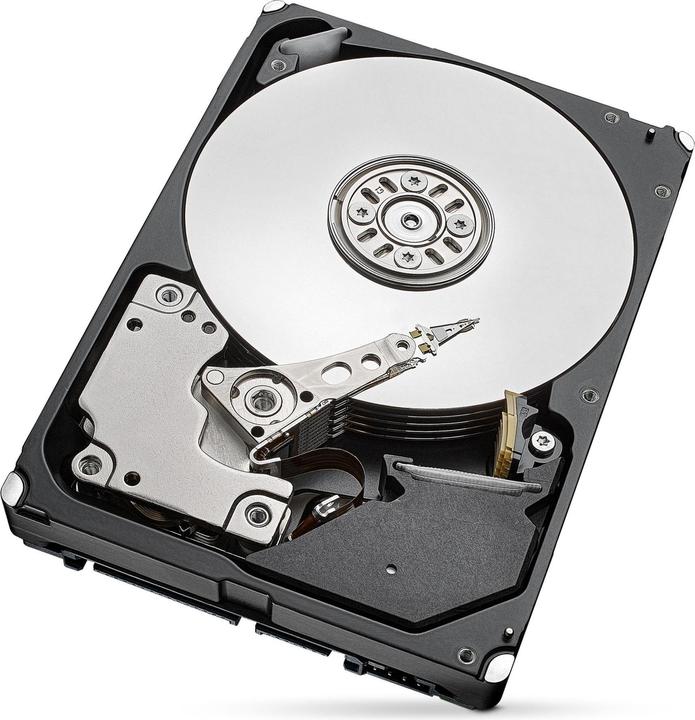 Immagine prodotto Seagate HDD/Ent Cap SATA 7.2K (2 TB, 2.5")