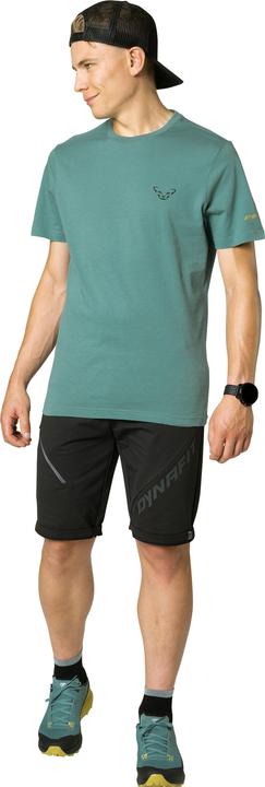 Actual product image Dynafit 24/7 Graphic T-Shirt (M)