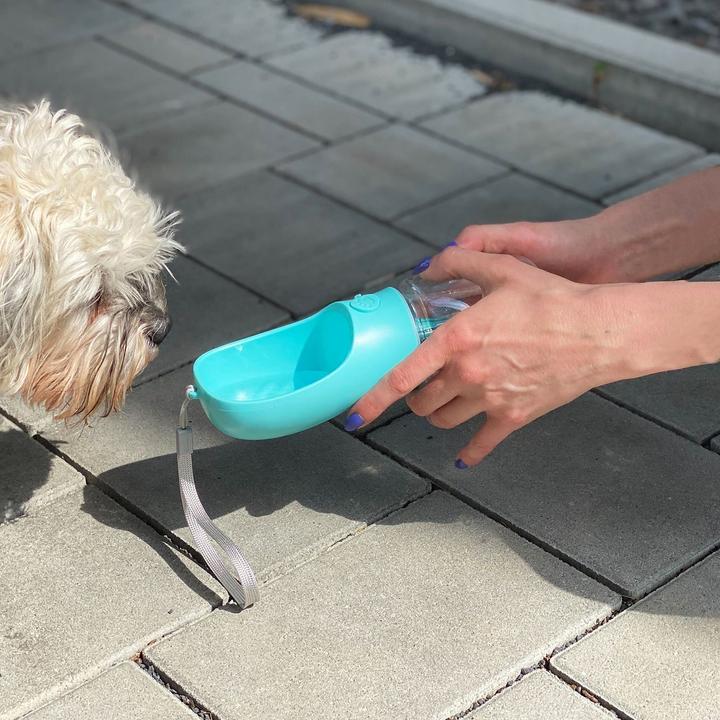 Immagine prodotto Intirilife Set per cani blu: sacchetto per dolcetti in silicone e biberon (Taglia unica)