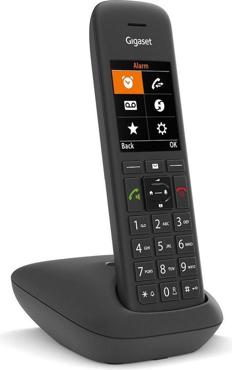 Actual product image Gigaset C575 (CH-Version)