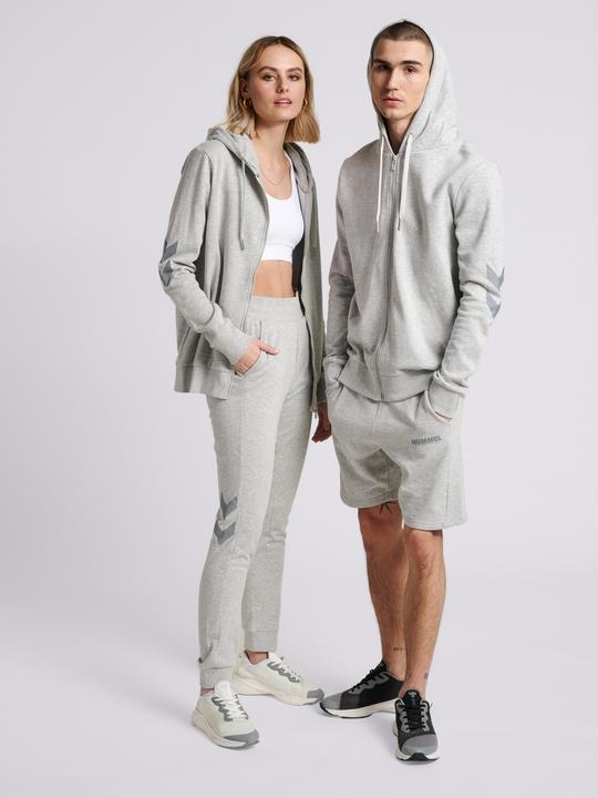Actual product image hummel Legacy Zip Hoodie (XL)