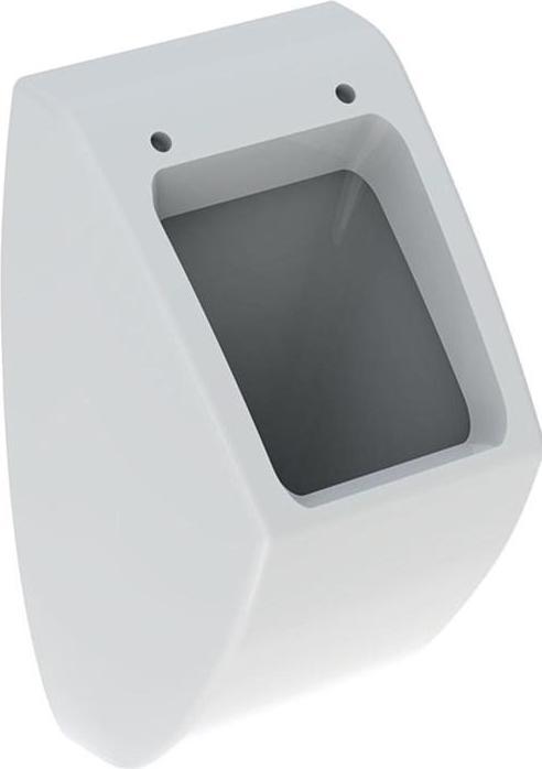 Actual product image Geberit Keramag / Urinal Pareo white 236100000