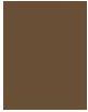 Actual product image NYX Professional Make-Up Lift & Snatch! (Brunette)