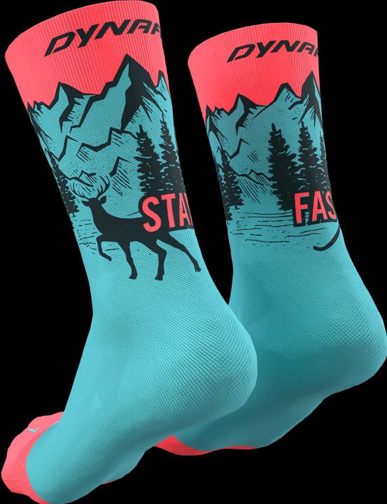 Image du produit Dynafit Chaussettes Stay Fast (43 - 46)