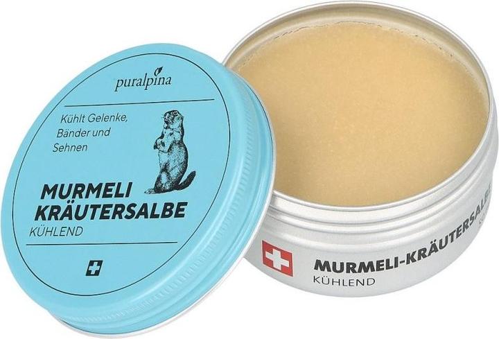 Produktbild Puralpina Murmeli-Kräutersalbe (1 x, 100 ml, 110 g)