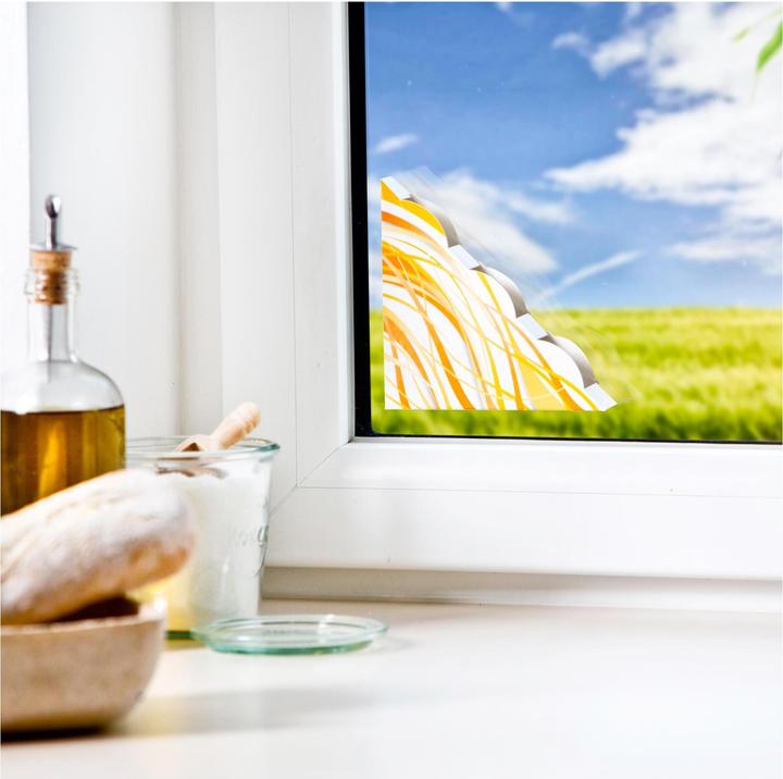 Immagine prodotto Windhager Trappola per finestre Discreet 2 pz.
