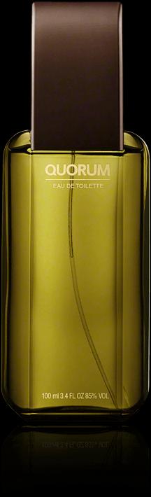 Actual product image Antonio Puig Quorum (Eau de toilette, 100 ml)