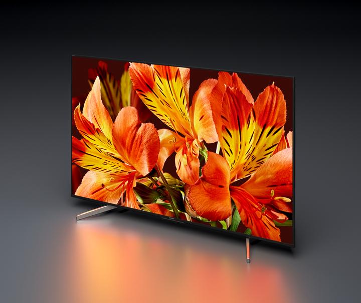 Immagine prodotto Sony Kd-49xf8505 (49", LCD, 4K, 2018)